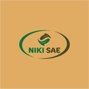 Apa Itu Nikisae